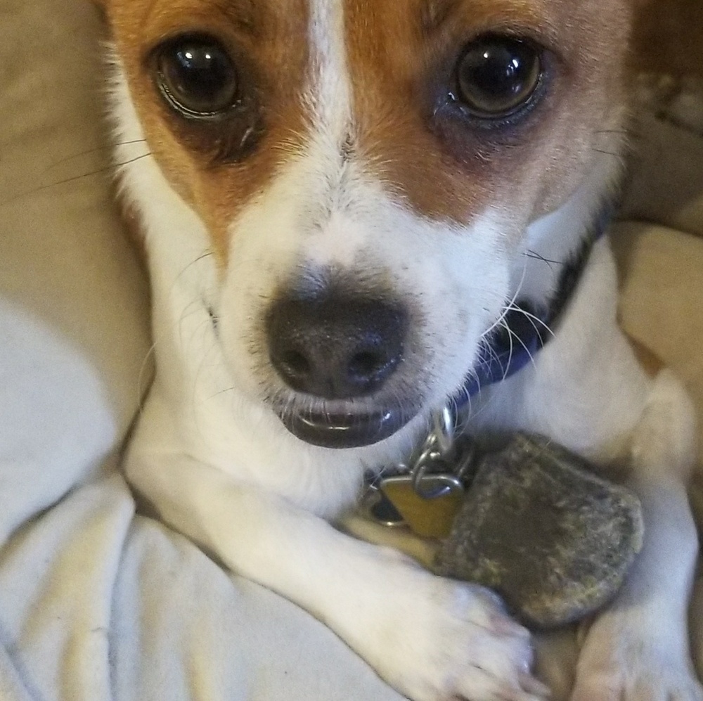 Meet your Posher, Valentina